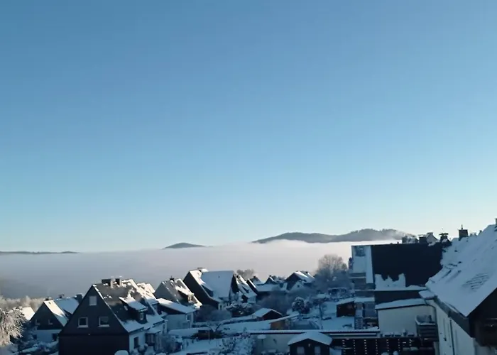 Lejlighed Winterberg Centrum 1 privater Ski Keller *